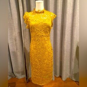 Professional lace dress